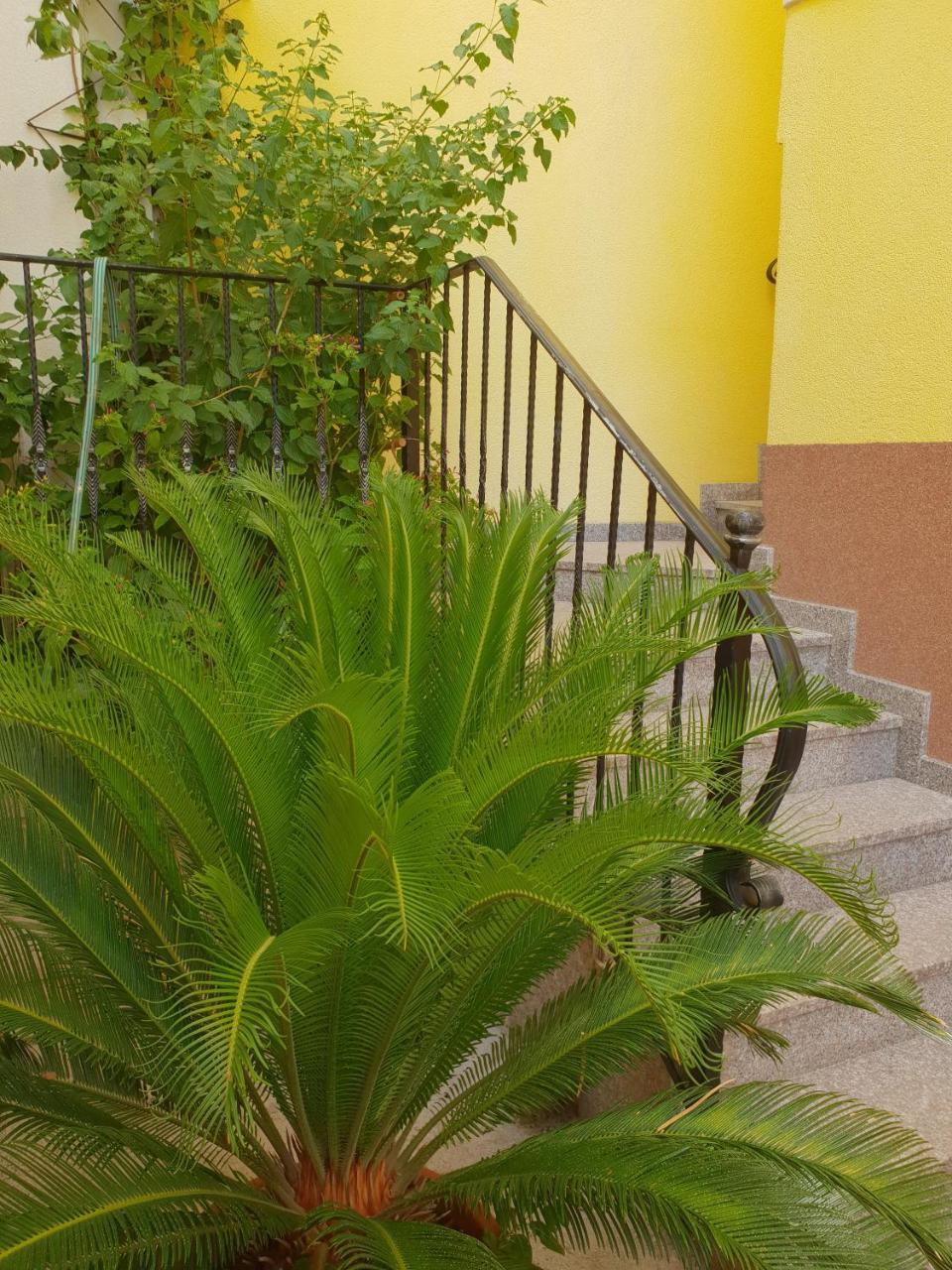 Apartments Cytrus Неум Екстер'єр фото